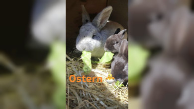 Unsere Angebote an Ostern 