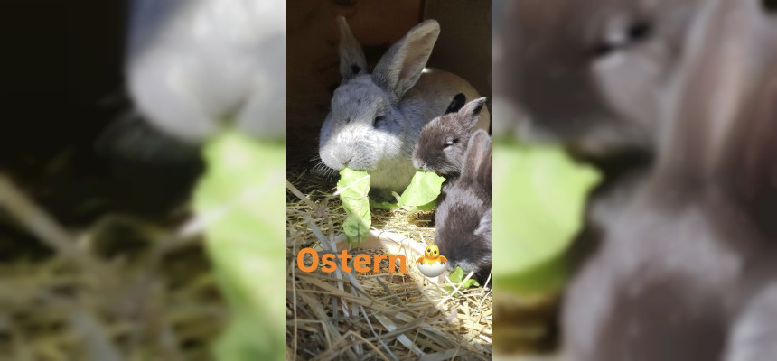 Unsere Angebote an Ostern 