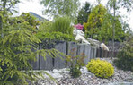 Palisaden