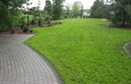 Steine