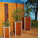 ALLES rund ums Holz