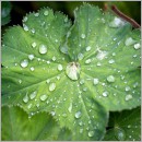 Spezialangebot für Ihre Fassadenreinigung