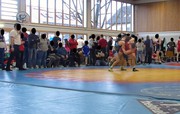 Max Ohnemus