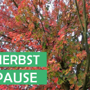 Herbstpause
