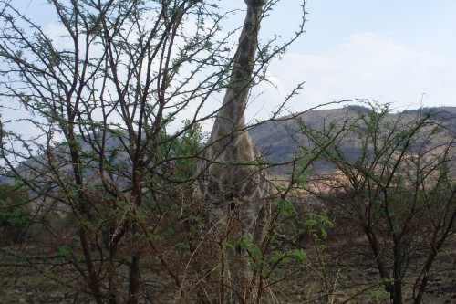 Neuigkeiten aus Malawi