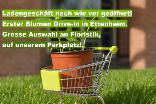 Neuigkeiten