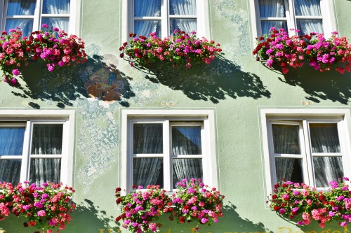 Fensterdichtungen austauschen