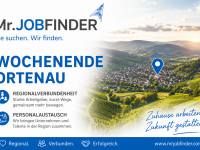 Mr. Jobfinder