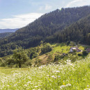 Wanderopening in Bad Peterstal-Griesbach