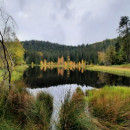Wanderung zum Buhlbachsee des Schwarzwaldvereins Bad Peterstal-Griesbach e.V.