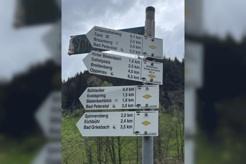 Neues Vorstandsteam setzt auf Aufbruch und junge Mitglieder