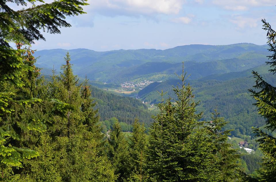 Schwarzwaldverein Bad Peterstal-Griesbach e.V.