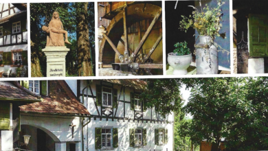 Neuigkeiten