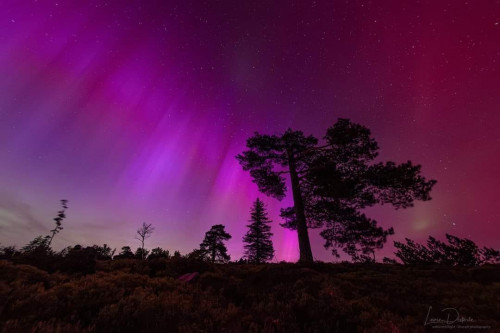 Faszinierende Polarlichter begeistern Bewohner der Ortenau: Ein himmlisches Schauspiel am nächtlichen Himmel!