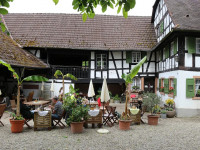 Neuigkeiten