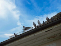 Neuigkeiten