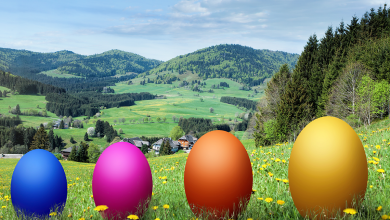 Neuigkeiten
