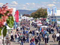 Herzlichen Dank Kosmos Schwarzwald Shop & Galerie – Maimarkt Mannheim 2024