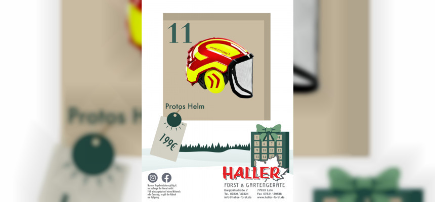 Türchen 11. Protos Helm