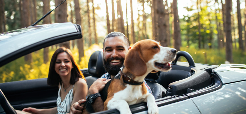 Reisen in der Ortenau: Perfekte Vorbereitung für Ihren Frühlings-Roadtrip