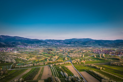 Regio Media eG