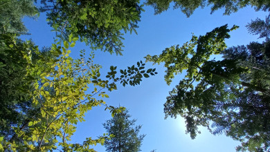 Raus aus dem Stress – rein ins Leben!