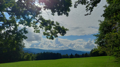 Wald-Erleben auf den Schwarzwaldhöhen
