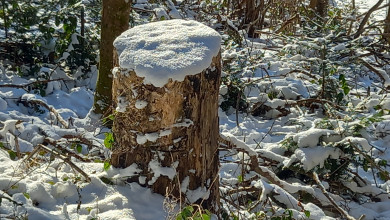 Aus „Ich muss“ wird ein „Ich will“ – Ihr Weg zu Zufriedenheit und Glück