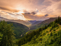 Natur-Coaching