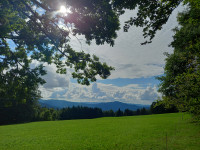 Wald-Erleben auf den Schwarzwaldhöhen