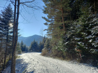 Stress im Alltag stoppen – Ihr Turbo-Reset für mehr Lebensenergie