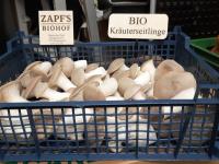 Neu bei uns: Regio Kräuterseitlinge