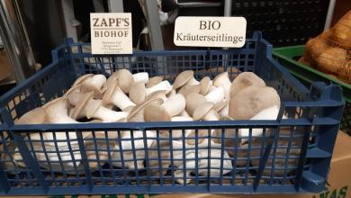 Neuigkeiten