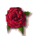 Rosenstadt Steinfurth- Hier finden Sie die �ltesten Rosen aus ganz Deutschland!