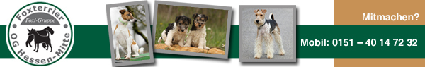 Foxterrier Ortsgruppe Hessen-Mitte