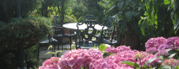 Garten - Balkon - Terrasse