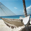 Wetter Temperatur Sonne reisen reisb�ro fernreisen palemn sonne strand